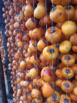 曬柿餅圖片素材 有機肥料在食品餐飲中的自然與健康之美