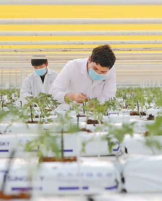 鄉(xiāng)村振興路正寬 計算機信息技術(shù)驅(qū)動農(nóng)業(yè)現(xiàn)代化新篇章