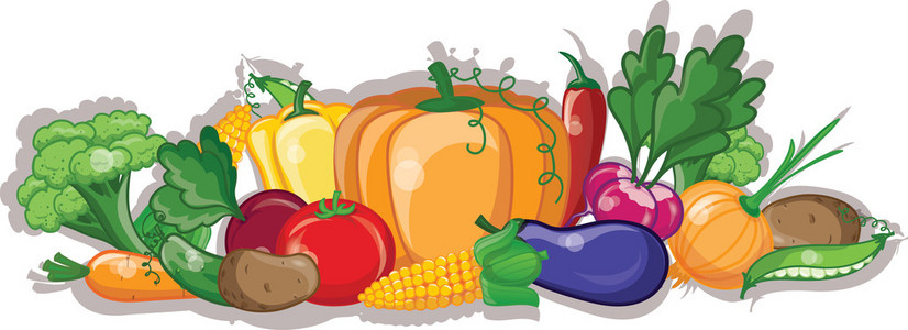 卡通蔬菜與水果 計算機信息技術(shù)在動畫與教育中的創(chuàng)新應(yīng)用